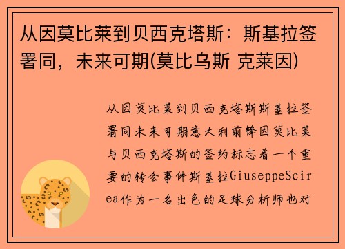 从因莫比莱到贝西克塔斯：斯基拉签署同，未来可期(莫比乌斯 克莱因)