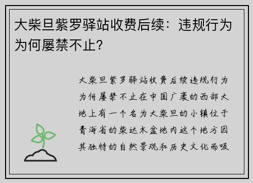 大柴旦紫罗驿站收费后续：违规行为为何屡禁不止？
