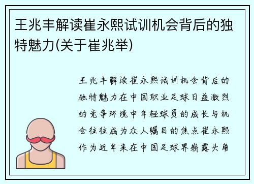 王兆丰解读崔永熙试训机会背后的独特魅力(关于崔兆举)